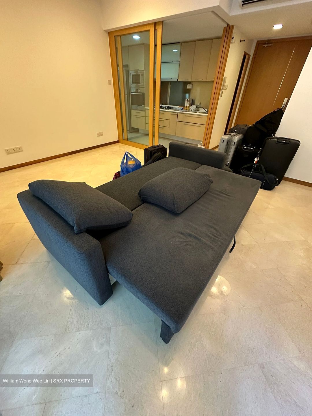 8 @ Mount Sophia (D9), Condominium #613536381